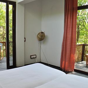 Deluxe Double or Twin Room Garden View